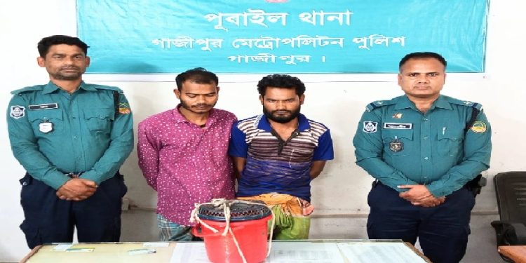 বিলুপ্তপ্রায় তক্ষকসহ দুই সহোদর গ্রেপ্তার