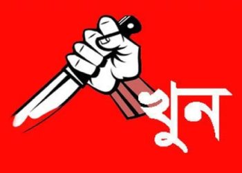 ছোট ভাইয়ের হাতে বড় ভাই খুন