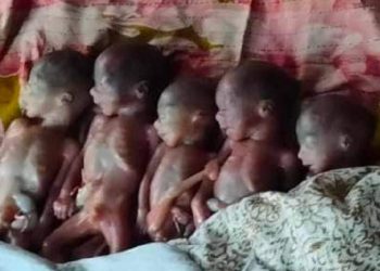 একসাথে ৫ সন্তানের জন্ম দিলেন ফারজানা