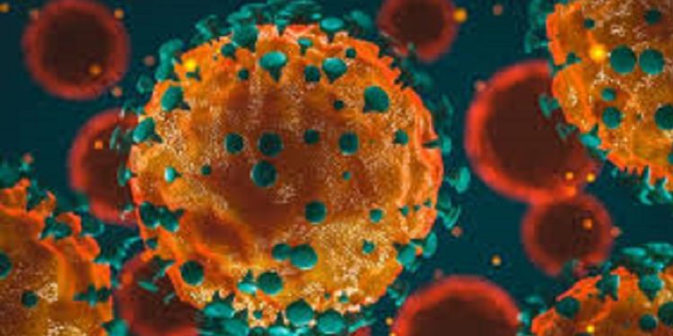 গত ২৪ ঘণ্টায় করোনাভাইরাসে আক্রান্ত- ৭