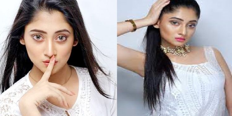 এবার পাচারকারীদের খপ্পড়ে পূজা চেরি!