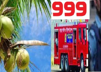 ডাব চুরি করতে গিয়ে গাছেই অজ্ঞান কিশোর, ৯৯৯-এ ফোন দিয়ে উদ্ধার