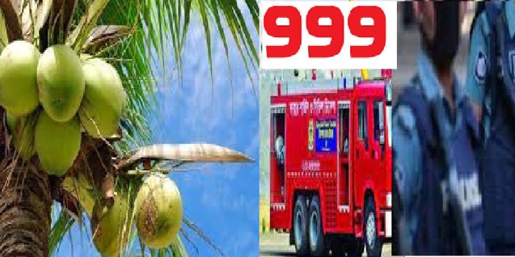 ডাব চুরি করতে গিয়ে গাছেই অজ্ঞান কিশোর, ৯৯৯-এ ফোন দিয়ে উদ্ধার