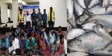 জাটকা ধরার অপরাধে ৩৩ জেলে আটক,২২ জনের কারাদণ্ড