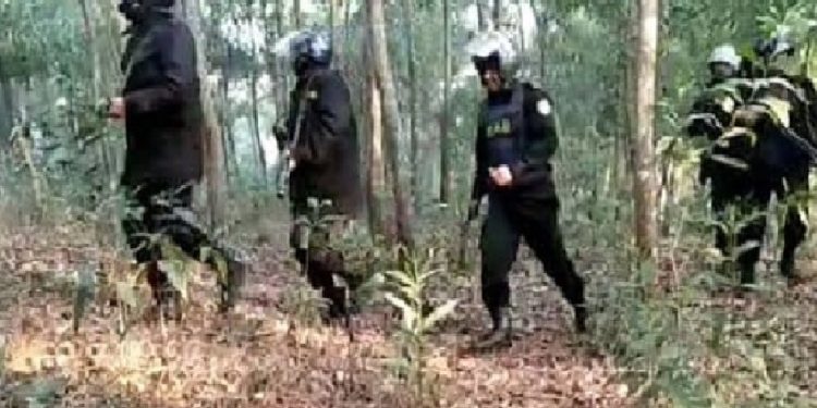 বান্দরবানের পাহাড়ে জঙ্গি বিরোধী বিশেষ অভিযান চালাচ্ছে র‌্যাব