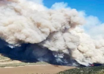 কানাডার আলবার্টা প্রদেশে ছোট-বড় শতাধিক দাবানলের কারণে জরুরি অবস্থা জারি