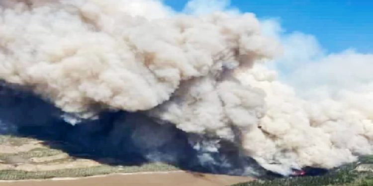 কানাডার আলবার্টা প্রদেশে ছোট-বড় শতাধিক দাবানলের কারণে জরুরি অবস্থা জারি