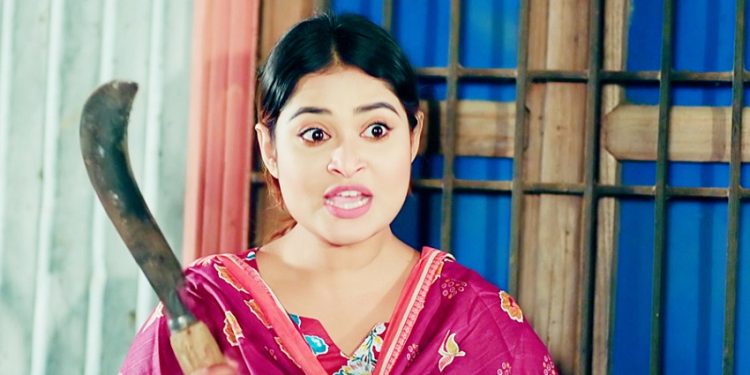 ঈদে ‘পরি’ হয়ে আসছেন শিরিন শিলা