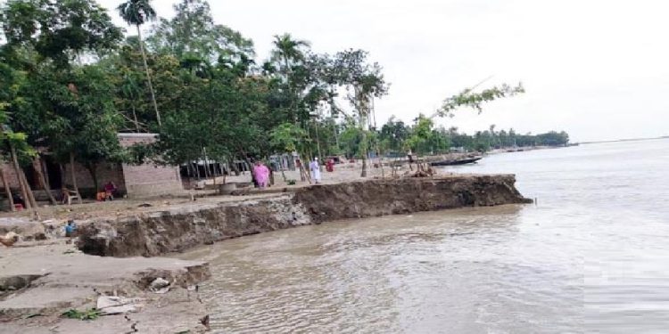 যমুনায় ভাঙনে নদীপাড়ের শতশত পরিবারের মানুষ আতঙ্কে