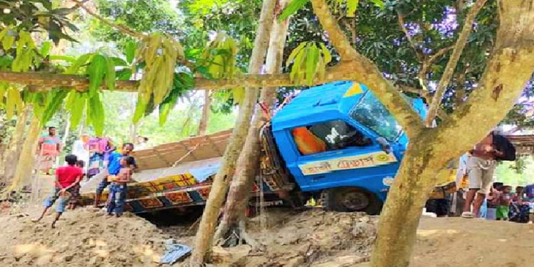 ট্রাক ও গাছের চাপায় স্কুল ছাত্রী নিহত