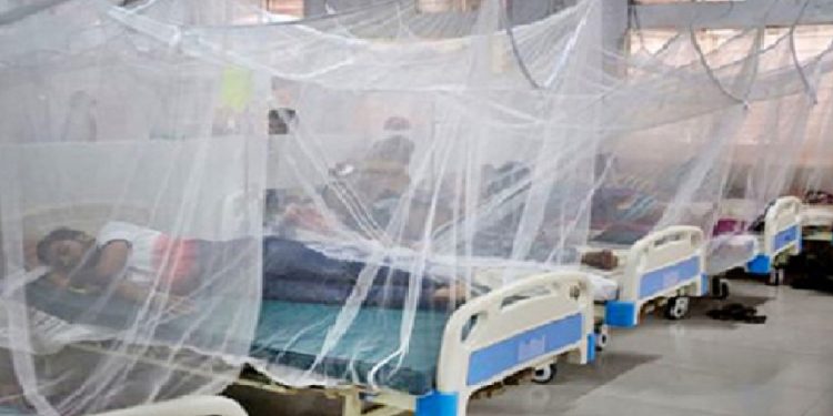 ডেঙ্গু জ্বরে গত ২৪ ঘণ্টায় দেশে মৃত্যু-১৩