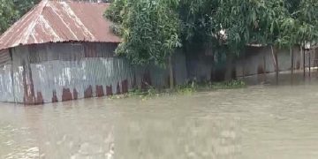 বগুড়ায় যমুনার পানি বিপৎসীমার উপর দিয়ে প্রবাহিত হচ্ছে