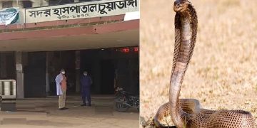 চুয়াডাঙ্গায় সাপের কামড়ে একমাসে আহত-৪৪,মৃত্যু-৪