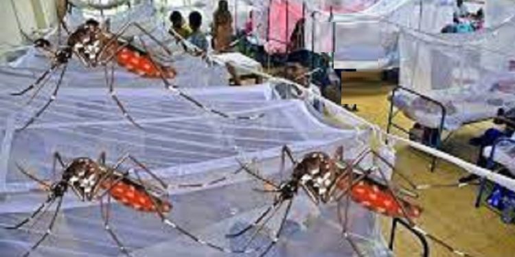 ৭ মাস ২৩ দিনে ডেঙ্গুতে মৃত্যু- ৫০৬