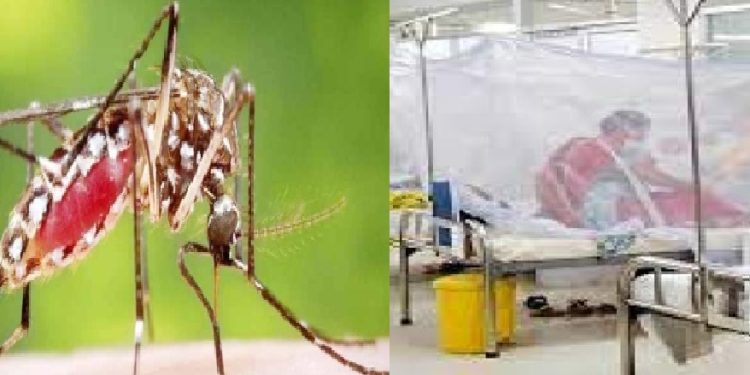 সারাদেশে গত একদিনে ডেঙ্গু জ্বরে আক্রান্ত- ২২০১,মৃত্যু- ৮