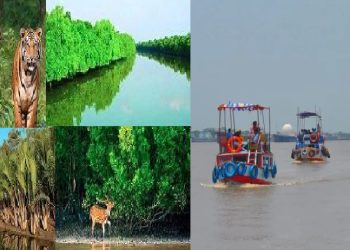 নিষেধাজ্ঞার পর বনজীবী ও দর্শনার্থীদের জন্য উন্মুক্ত সুন্দরবন