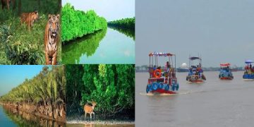 নিষেধাজ্ঞার পর বনজীবী ও দর্শনার্থীদের জন্য উন্মুক্ত সুন্দরবন