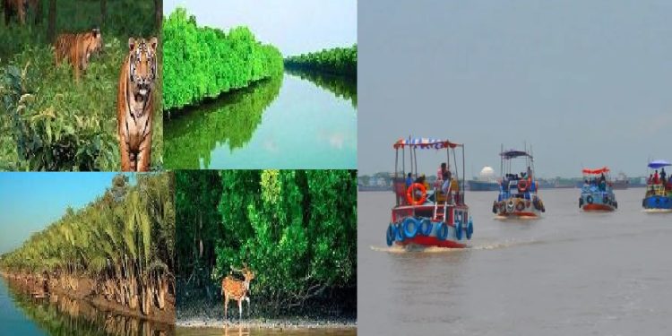 নিষেধাজ্ঞার পর বনজীবী ও দর্শনার্থীদের জন্য উন্মুক্ত সুন্দরবন