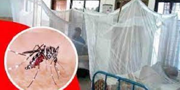 ডেঙ্গুতে ২৪ ঘণ্টায় আরো ১৪ জনের মৃত্যু