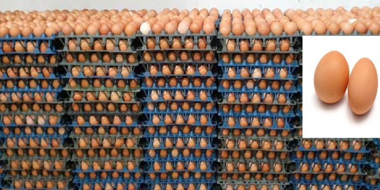 ৬ কোটি ডিম আমদানির অনুমতি দিয়েছে বাণিজ্য মন্ত্রণালয়