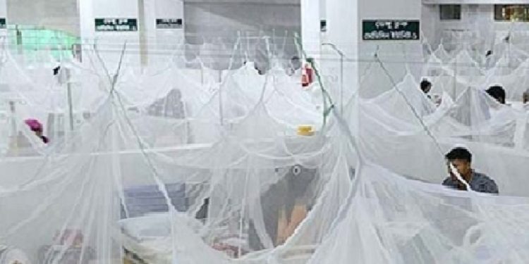 গত ২৪ ঘণ্টায় ডেঙ্গু জ্বরে আক্রান্ত হয়ে  আরো ২১ জনের মৃত্যু