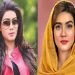 চাঁপাইনবাবগঞ্জ-২ আসনের জন্য মনোনয়ন ফরম কিনলেন মাহিয়া মাহি