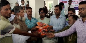 কলাপাড়ায় ৪ হাজার ২৪৫ কৃষকের মাঝে বিনামূল্যে সার-বীজ বিতরণ