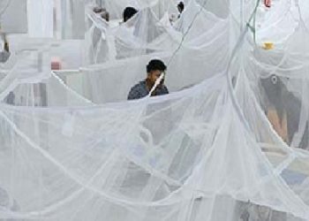 গত ২৪ ঘণ্টায় ডেঙ্গুতে আরও ১৫ জনের মৃত্যু