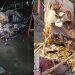 মহিপুরে মাছ ধরা ট্রলারে বিস্ফোরণ,দুই জেলে দগ্ধ