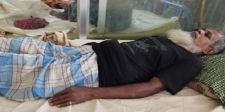 পটুয়াখালীতে পূর্বশত্রুতার জেরে প্রতিবন্ধি বৃদ্ধাকে পিটিয়ে আহত