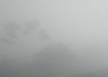 সারা দেশে মাঝারি থেকে ঘন কুয়াশা পড়তে পারে
