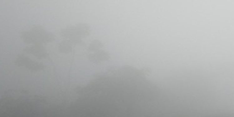 সারা দেশে মাঝারি থেকে ঘন কুয়াশা পড়তে পারে