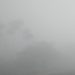 সারা দেশে মাঝারি থেকে ঘন কুয়াশা পড়তে পারে