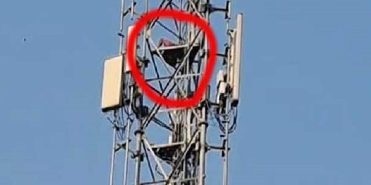 স্ত্রীর সঙ্গে ঝগড়া করে ১২০ ফুট উঁচু মোবাইল টাওয়ারের মাথায় স্বামী