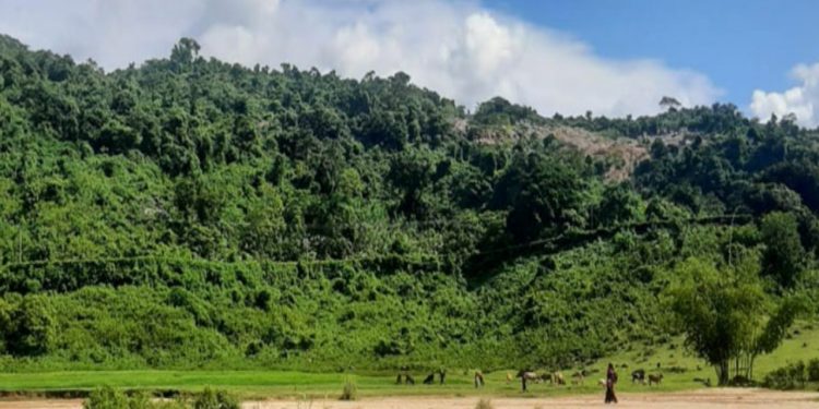 ভারতে কয়লা আনতে গিয়ে পাথর চাপায় বাংলাদেশি নিহত
