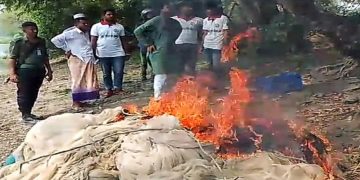 কলাপাড়ায় ২০ হাজার মিটার অবৈধ চায়না দুয়ারী জাল জব্দ
