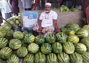 পটুয়াখালীতে রমজান মাসে তরমুজের বাজারে দামের আগুন