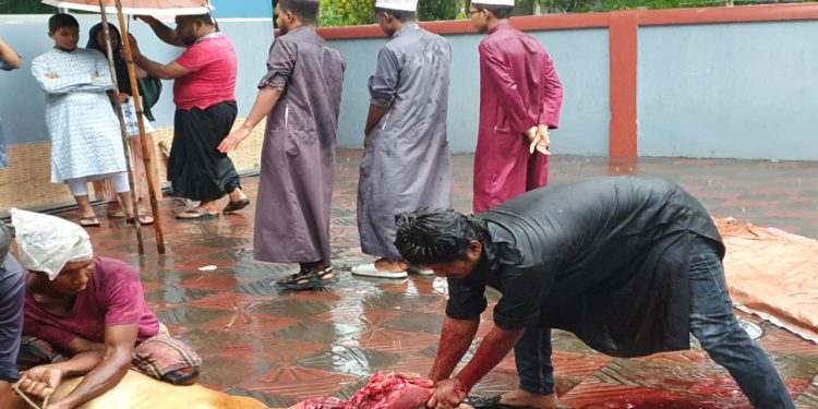 গত বছরের তুলনায় এবছর বেড়েছে সাড়ে ৩ লাখ পশু কোরবানি: মৎস্য ও প্রাণিসম্পদ মন্ত্রণালয়