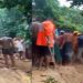 কক্সবাজারের রোহিঙ্গা ক্যাম্পে পৃথক পাহাড় ধসের ঘটনায় ৯ জনের মৃত্যু