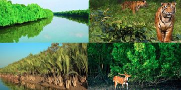 টানা তিন মাসের জন্য বন্ধ হলো সুন্দরবন
