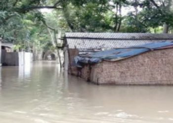 বাড়ছে ধরলার পানি, কুড়িগ্রাম ও আশপাশের পানিবন্দী অন্তত ২ লাখ মানুষ