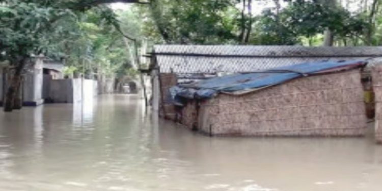 বাড়ছে ধরলার পানি, কুড়িগ্রাম ও আশপাশের পানিবন্দী অন্তত ২ লাখ মানুষ