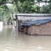 বাড়ছে ধরলার পানি, কুড়িগ্রাম ও আশপাশের পানিবন্দী অন্তত ২ লাখ মানুষ