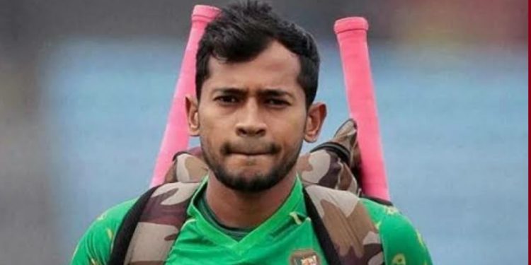 আমি আমার ভাই-বোনদের ওপর কোনো সহিংসতা দেখতে চাই না: মুশফিক