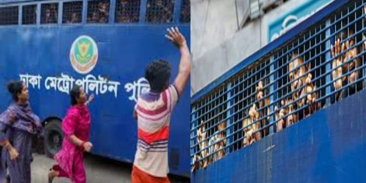 কোটা আন্দোলনকে কেন্দ্র ১২ দিনে সারাদেশে গ্রেপ্তার প্রায় ৯ হাজারের বেশি