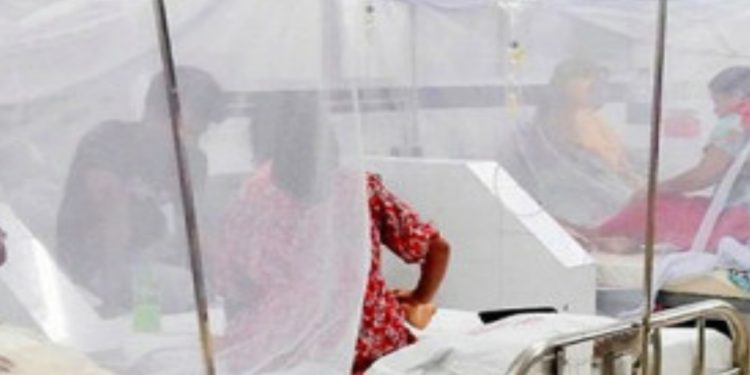 ডেঙ্গুতে প্রাণ গেল ৫ জনের, ৪ জনই নারী