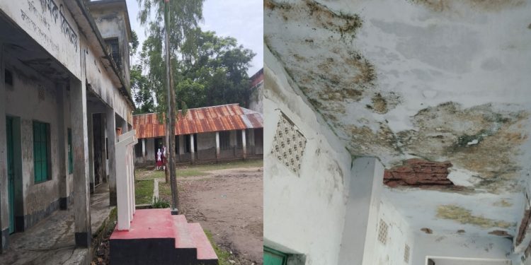কলাপাড়ায়- ফরিদগঞ্জ মাধ্যমিক বিদ্যালয়ের শ্রেনিকক্ষ পরিত্যক্ত, ভবন সঙ্কট, জরাজীর্ণ টিনের ঘরে পাঠদান