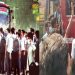 শিক্ষার্থীদের জন্য পুরো সপ্তাহেই বাসে ‘হাফ পাস’ কার্যকর