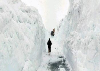 বিমান বিধ্বস্তের ৫৬ বছর পর বরফে জমে যাওয়া ৪ জনকে উদ্ধার