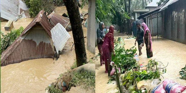 শেরপুরে কয়েক লাখ মানুষ পানিবন্দি, নিহত- ৫